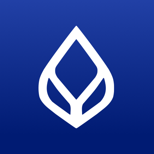 bank-2